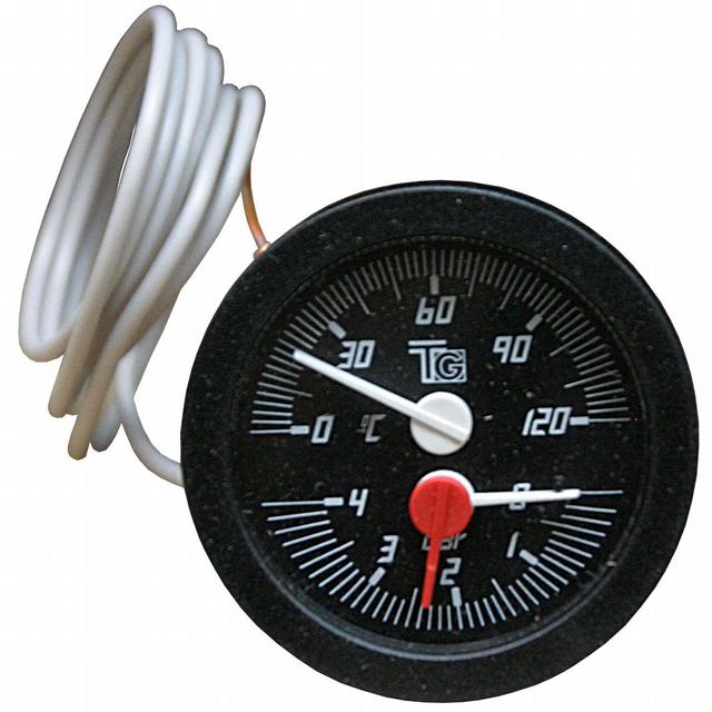 Regulus Thermometers and Pressure Gauges